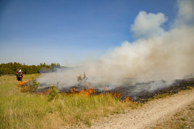 naturbrand-pa-hulsig-hede