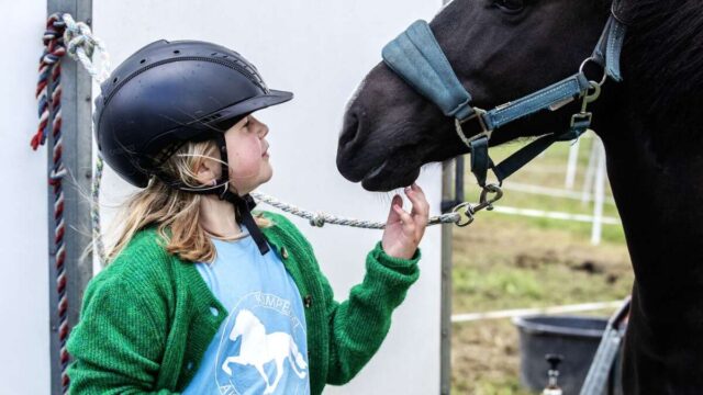 165-hesteglade-er-samlet:-sommerlejr-med-vrinsk-og-tolt-|-ikast-brandenyt